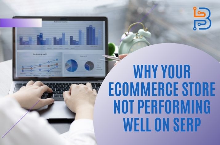 Why Your eCommerce Store Not Performing Well On SERP