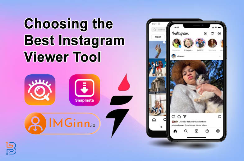 Choosing the Best Instagram Viewer Tool