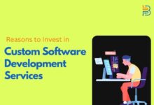 Reasons to Invest in Custom Software Development Services