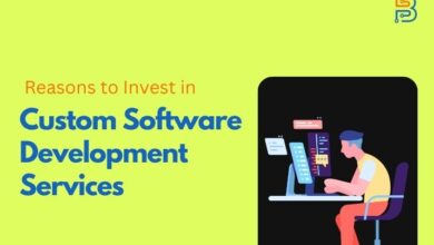 Reasons to Invest in Custom Software Development Services