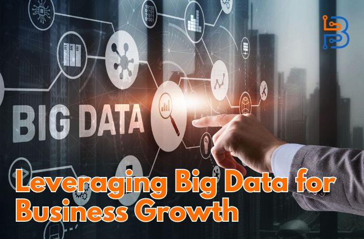 Leveraging Big Data for Business Growth