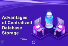 Advantages of Centralized Database Storage