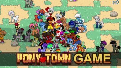 Pony Town Game