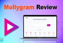 Mollygram Review