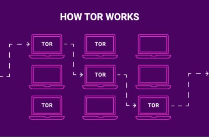 How Does Tor Bowser Work?