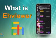 What is Ehviewer