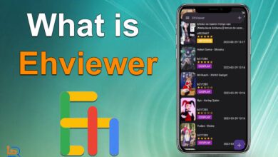 What is Ehviewer